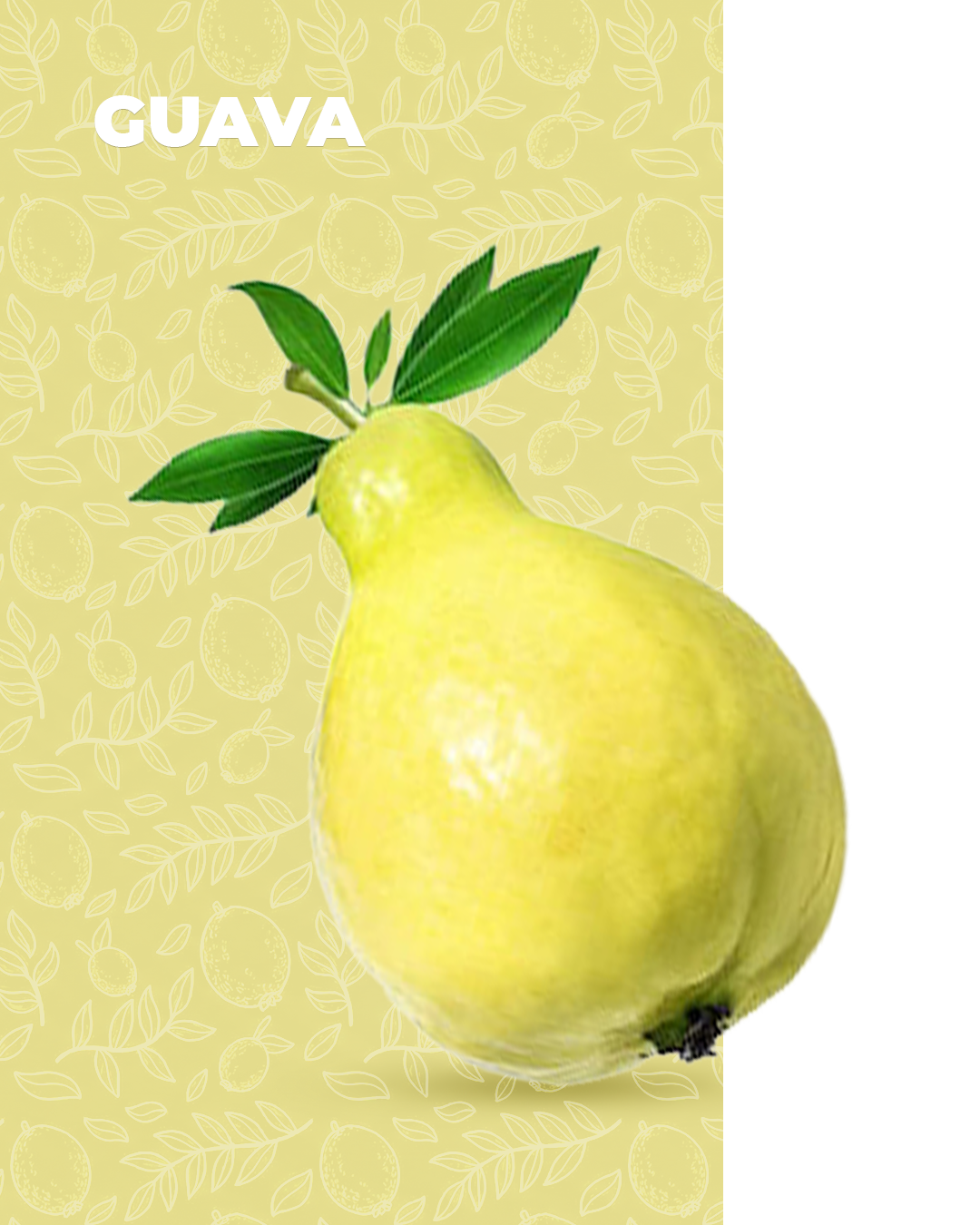 Guava