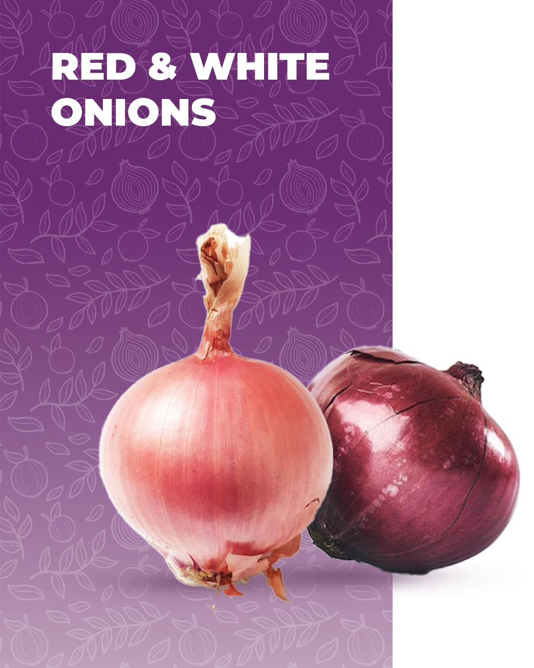 Onion