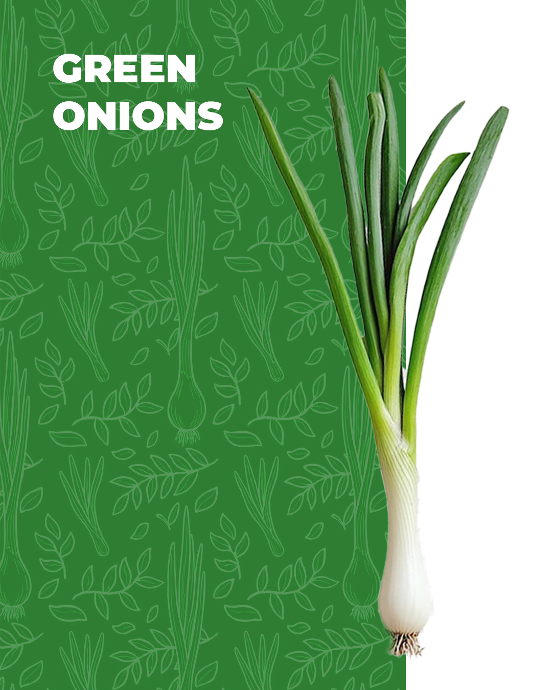 Green Onion