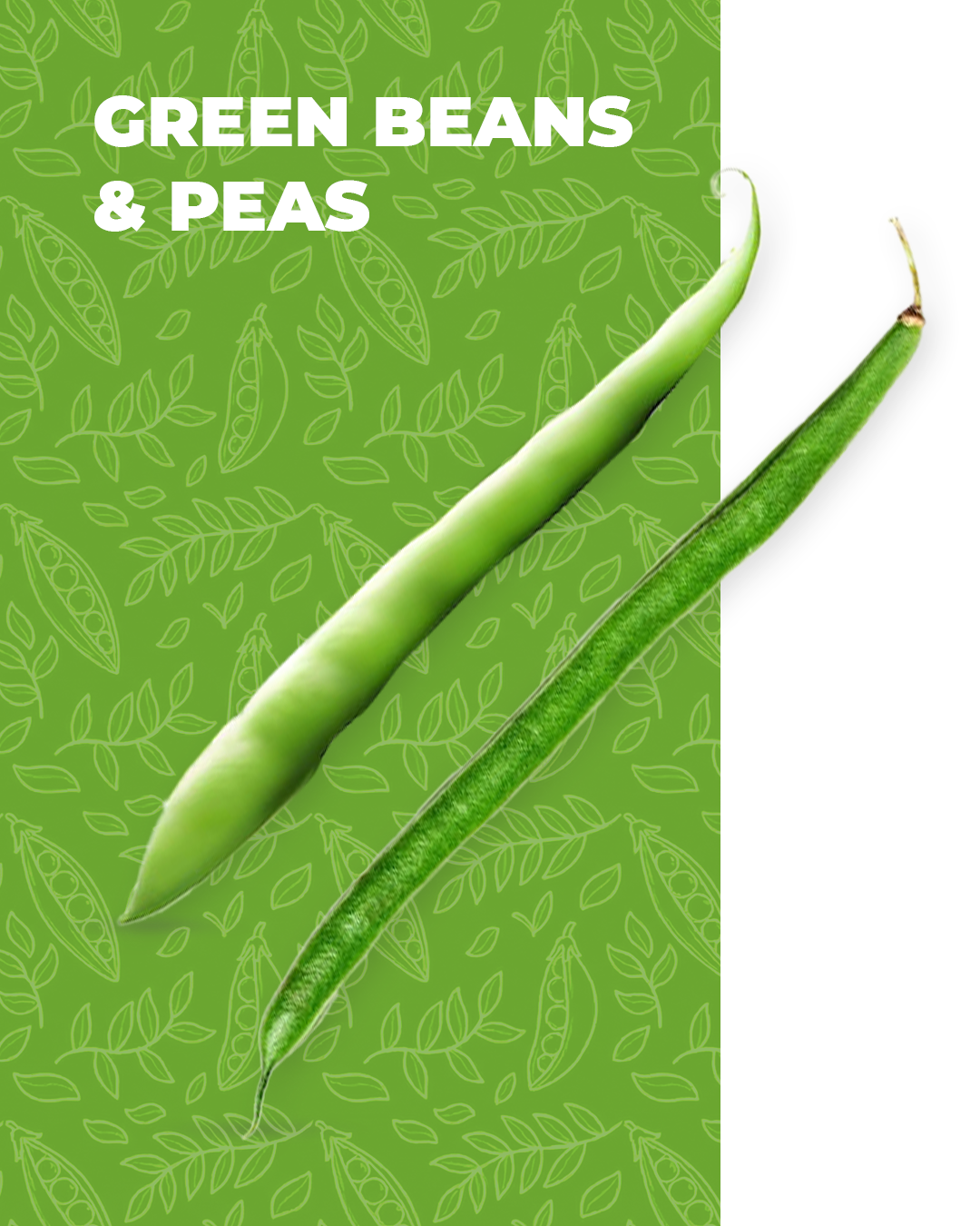 Green Beans